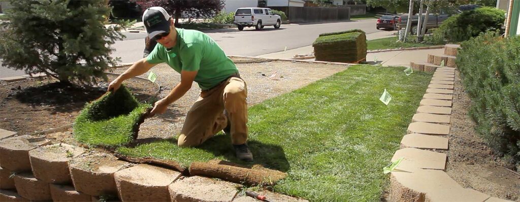 how to install sod shawn cut how to install sod shawn cut