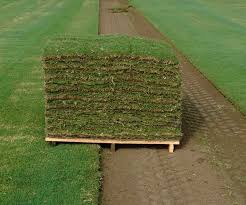 Home celebration bermuda