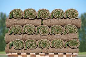 Home images-2025-08-04t152606738