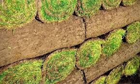 Home images-2025-08-04t152727005