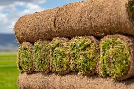 Home images-2025-08-04t152933352