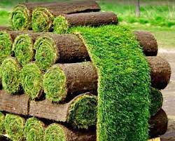 Home images-2025-08-04t153048386