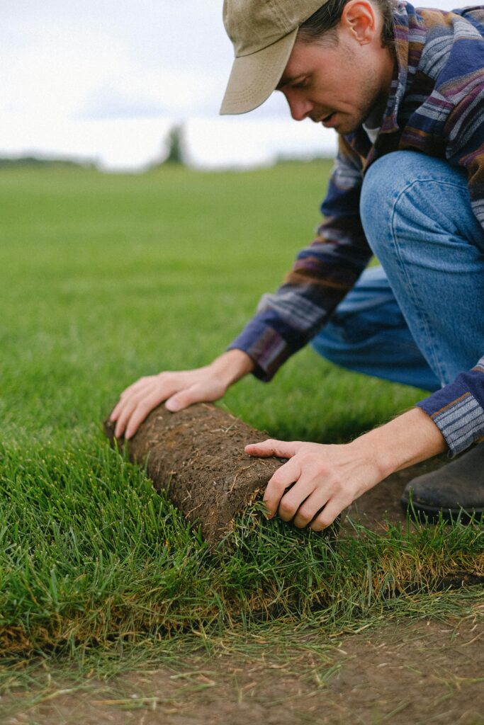 pexels photo 5231232 5231232 Side view of male worker laying sod grass onto ground for new garden lawn while working in countryside on blurred background