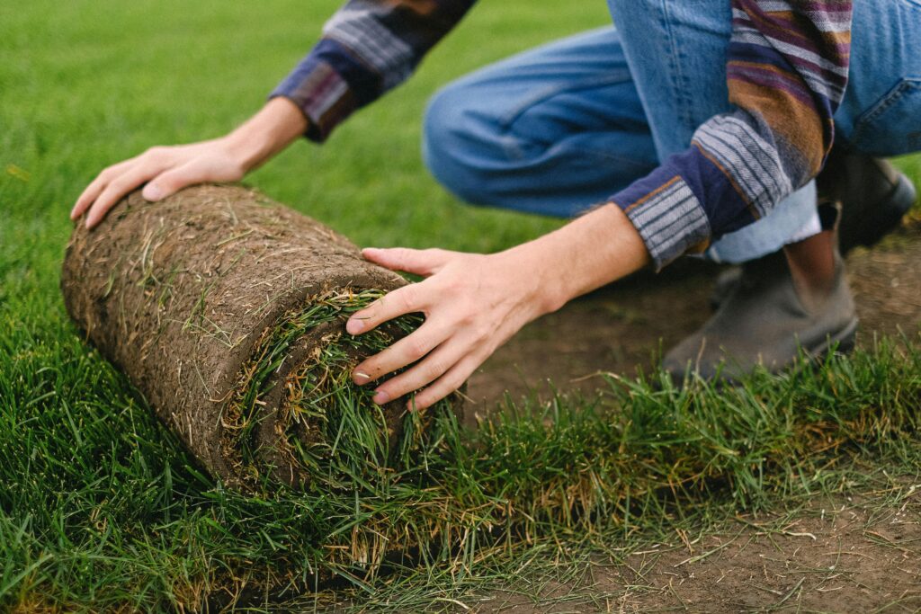 pexels photo 5231236 5231236 Side view of unrecognizable male farmer laying grass turf roll on ground while working on agricultural plantation on blurred background